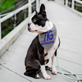 TTG Blue/Gray Pet Bandana - StereoTypeTees
