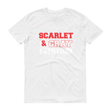 Scarlet & Gray - StereoTypeTees