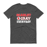 Scarlet & Gray - StereoTypeTees