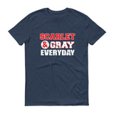 Scarlet & Gray - StereoTypeTees