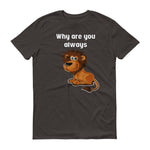 Why U Lion - StereoTypeTees