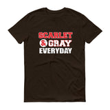 Scarlet & Gray - StereoTypeTees