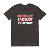 Scarlet & Gray - StereoTypeTees